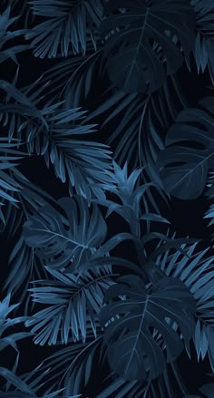 blue palm leaves on a black background