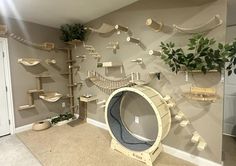 a room filled with shelves and plants on the wall next to a cat bed in front of a mirror