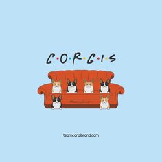 three corgis sitting on an orange couch with the words corgis above them