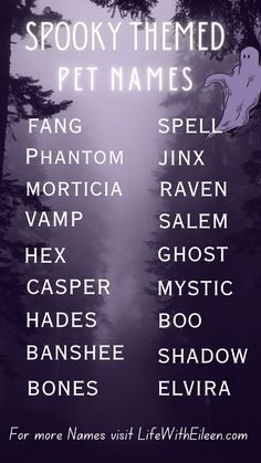 the words spooky - themed pet names are shown