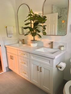 a white bathroom with two sinks and a plant in the middle of the sink area