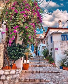 an alley way with steps and flowers growing on it