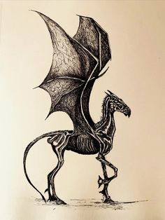 a black and white drawing of a dragon with wings spread out, standing on its hind legs