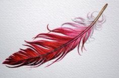 a watercolor painting of a red feather on white paper with gold tipped pen and ink