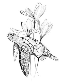 a drawing of a sea turtle resting on a flower