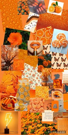 an orange collage with many different pictures