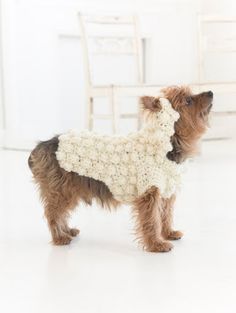 a small dog is wearing a sweater made out of sheep's wool, standing on a white floor