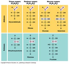 four different types of hydrogens are shown in the diagram, with each one labeled