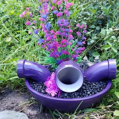 a purple flower pot filled with water and rocks next to some flowers in the grass