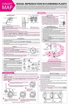 Brain Map, Plant Reproduction, Biochemistry Notes, Biology Plants, Brain Mapping