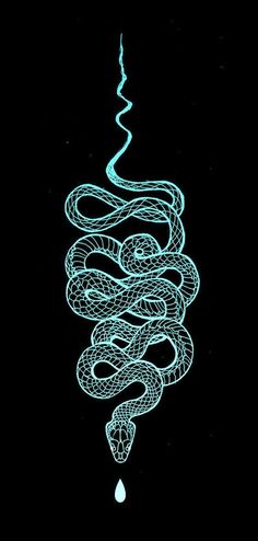 a black and white drawing of a snake in the shape of a spiral on a dark background