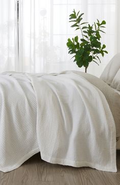 a bed with white linens and a plant on the headboard, in front of a window