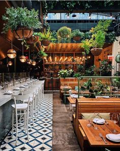 an indoor restaurant with tables and chairs, potted plants on the wall above them