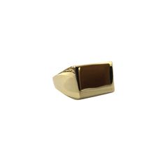 Let’s add this captivating Signature Rectangular Signet Ring to your everyday ring stack for a whimsical statement look. Designed in a 925 recycled sterling silver, it divinely showcases a geometric rectangular shape with a glossy and lustrous finish, adding a bit of sparkle. It is highly flexible that fits perfectly on your versatile fingers, adjusting to your desired size. This signature ring comes in luxurious rose gold, gold, and silver tones- choose your favorite color to accent your style. Silver Signet Rings, Signature Rings, Silver Signet Ring, Gold Signet Ring, Ring Collection, Everyday Rings, Recycled Sterling Silver, Dainty Ring, Ring Collections