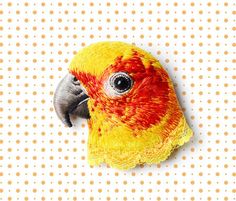 a yellow and red bird with big eyes on it's head against a polka dot background