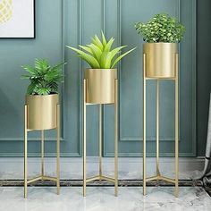 three gold plant stands with plants in them