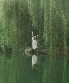 a woman in a white dress is standing on a rock by the water with willow branches