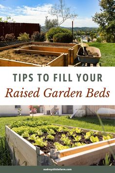 raised garden beds with the words tips to fill your raised garden beds in front of them