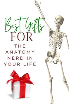 Best Gifts for An Anatomy Nerd - The Massage Business Mama Diy Massage, Massage Marketing, Licensed Massage Therapist, Massage Techniques, Massage Therapist