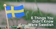 a swedish flag with the words 6 things you didn't know we were swedish