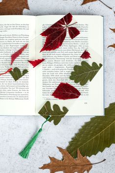 an open book sitting on top of a table covered in leaves