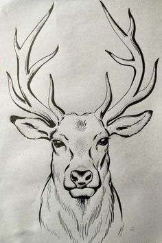 a drawing of a deer with antlers on it's head and the eyes are drawn