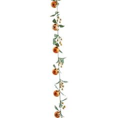 an orange and green vine with berries hanging from it's sides on a white background