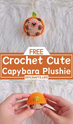 crochet cute capybara plushie with text overlay that reads free crochet cute capybara plushie