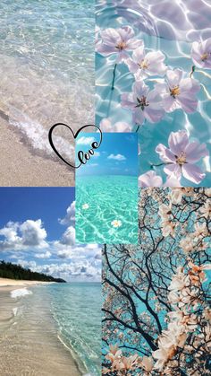 four different pictures with the words love written on them and some flowers in the water