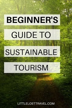 the words beginner's guide to sustainable tourism in front of a forest path