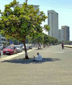 a man sitting on the ground under a tree next to a street with cars parked in it