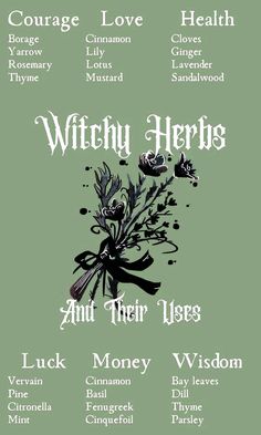 Witchy Herbs, Witchcraft Herbs, Witchcraft Spells For Beginners, Magickal Herbs, Witch Herbs, Green Witchcraft, Magia Das Ervas, Witchcraft Books, Wiccan Magic