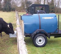 a black cow eating grass from a trailer attached to the back of a truck with a blue tank on it's flat bed