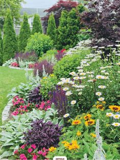 a garden filled with lots of different types of flowers