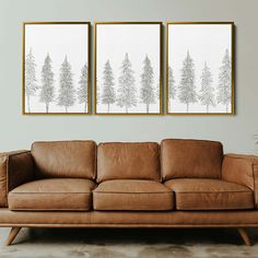 two paintings on the wall above a couch