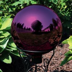 a purple ball sitting on top of a metal stand in front of some green plants