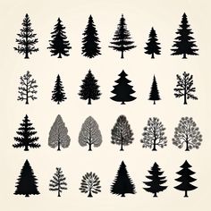 various types of trees are shown in black and white