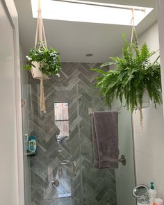 a bathroom with two plants hanging from the ceiling and a walk in shower next to it