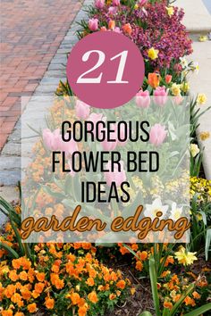 colorful flowers with text overlay that reads 21 gorgeous flower bed ideas garden edging