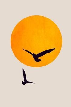 a bird flying in front of an orange sun