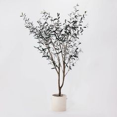 a small plant in a white pot on a table