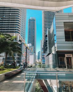 people are walking down the street in front of tall buildings and palm trees on either side