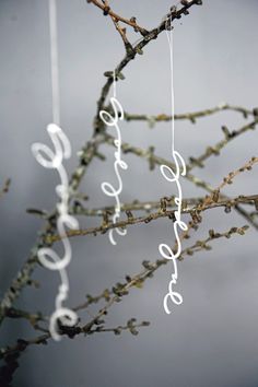 some white string hanging from a tree branch