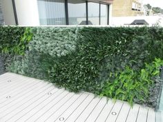 a green wall with plants growing on it's sides in front of a building