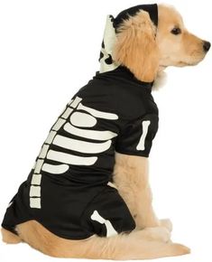 a dog wearing a skeleton shirt sitting down