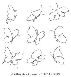 six different butterflies drawn in one line