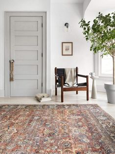 a room with a rug, chair and potted plant