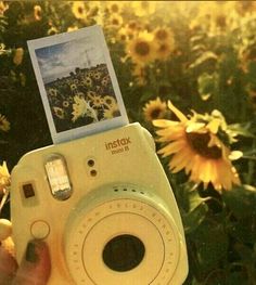 a person holding up a camera with sunflowers in the background