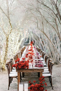 a long table with red flowers and candles is set up for an outdoor dinner party