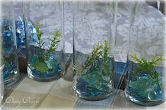 four glass vases with plants in them on a tableclothed cloth and blue rocks